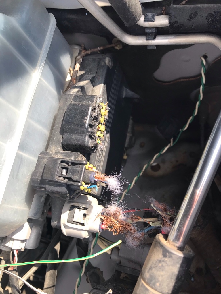 Wire harness inspection showing area of repair
