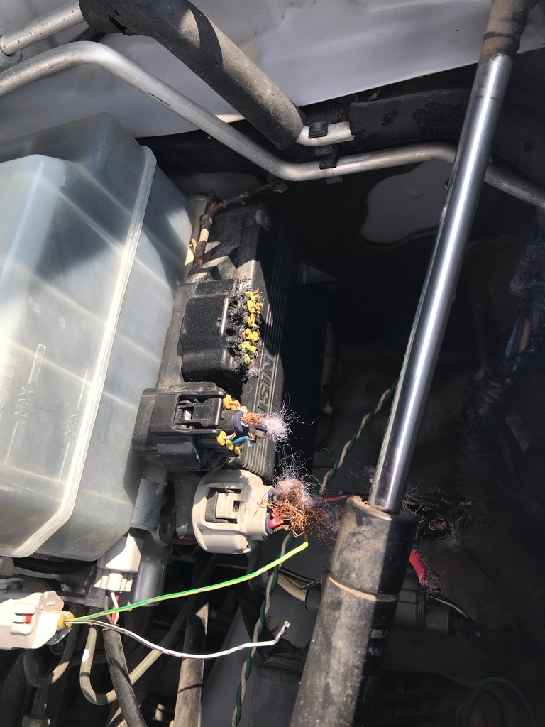 Wire harness alternative view during repair